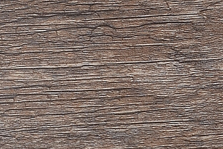 CMZ-5336 ŰӲľľyi۵ذ